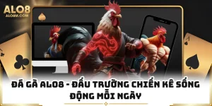 Đá Gà Alo8 - Đấu Trường Chiến Kê Sống Động Mỗi Ngày